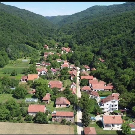 Domacinstvo Trifunovic Διαμέρισμα Pretresnja Εξωτερικό φωτογραφία