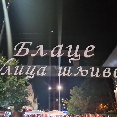 Domacinstvo Trifunovic Διαμέρισμα Pretresnja Εξωτερικό φωτογραφία