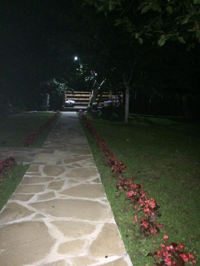Domacinstvo Trifunovic Διαμέρισμα Pretresnja Εξωτερικό φωτογραφία