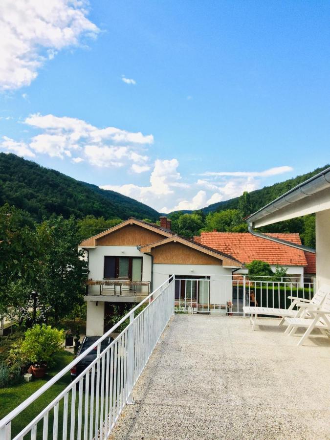 Domacinstvo Trifunovic Διαμέρισμα Pretresnja Εξωτερικό φωτογραφία