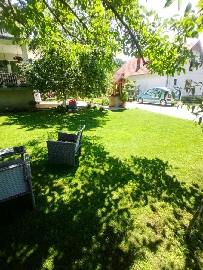 Domacinstvo Trifunovic Διαμέρισμα Pretresnja Εξωτερικό φωτογραφία