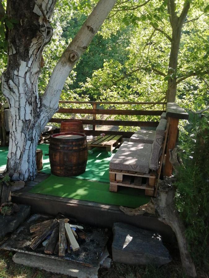 Domacinstvo Trifunovic Διαμέρισμα Pretresnja Εξωτερικό φωτογραφία