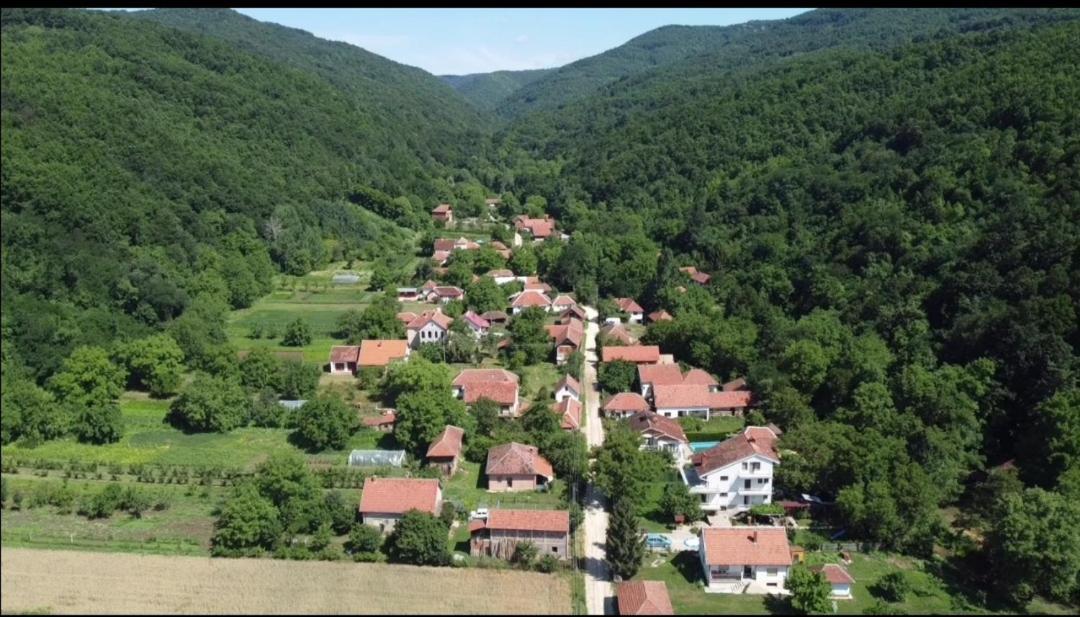 Domacinstvo Trifunovic Διαμέρισμα Pretresnja Εξωτερικό φωτογραφία