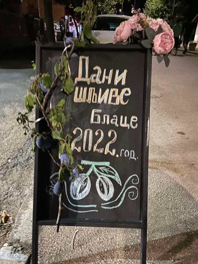 Domacinstvo Trifunovic Διαμέρισμα Pretresnja Εξωτερικό φωτογραφία