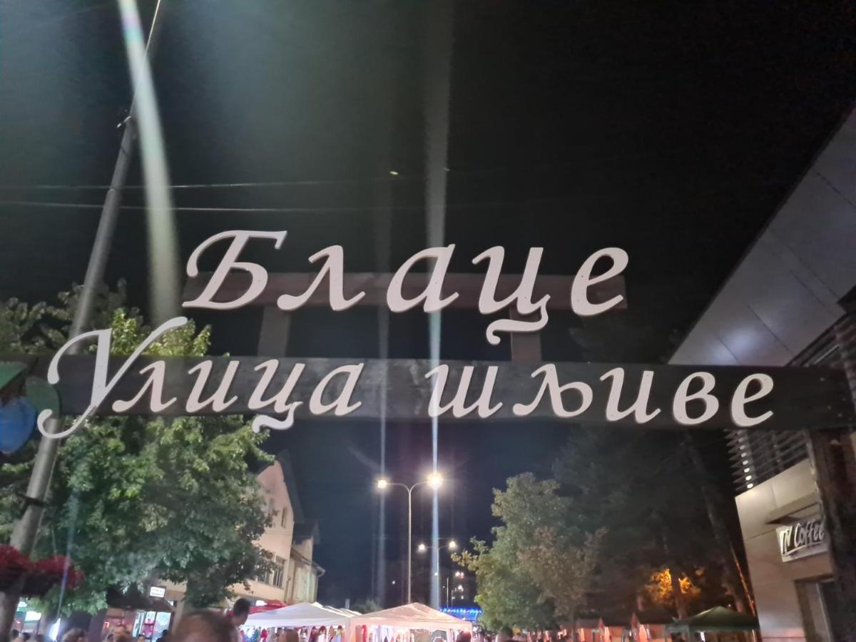 Domacinstvo Trifunovic Διαμέρισμα Pretresnja Εξωτερικό φωτογραφία